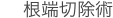 歯 根端切除術